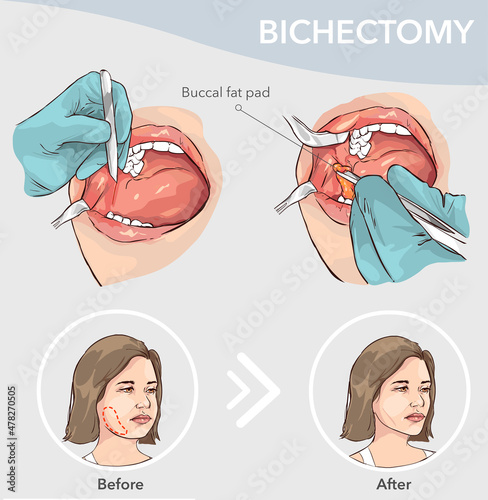 anatomy of the body