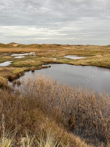 landscape with lake