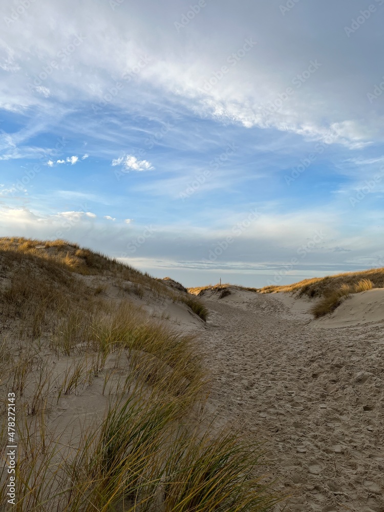 Naklejka premium Wonderful dunes at a perfect beach in a perfect evening