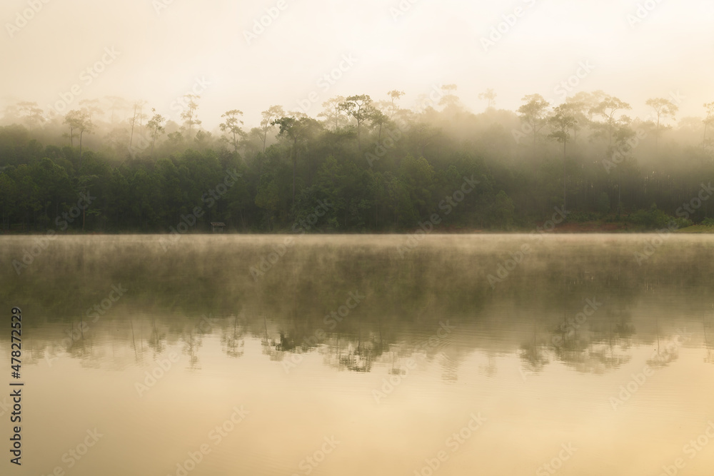 View of sunrise over the lake in nation park, Beautiful rainforest landscape with fog in morning, Thailand.