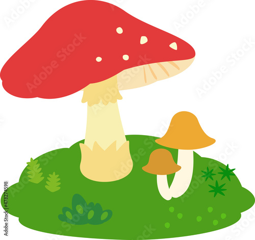 苔とキノコ