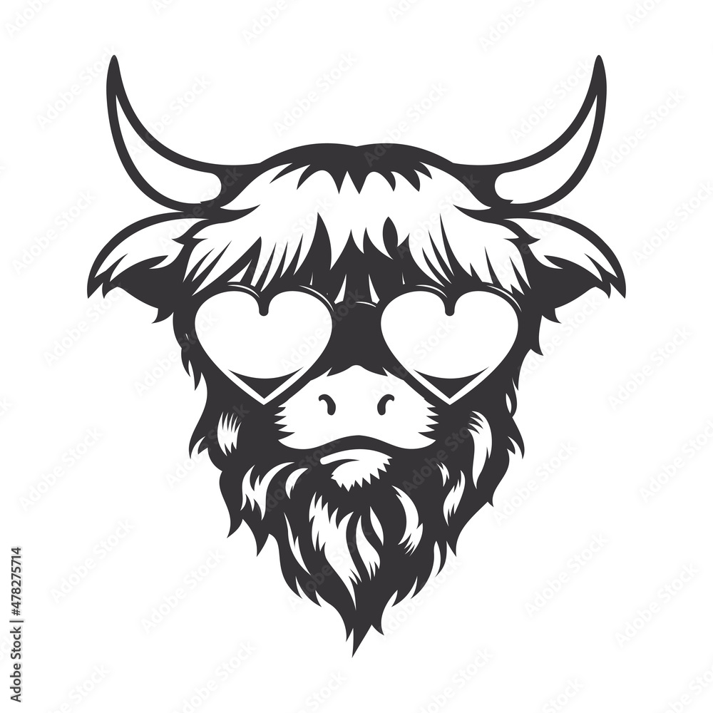 Highland cow in love head design with heart sungless. Farm Animal. Cows logos or icons. vector illustration.
