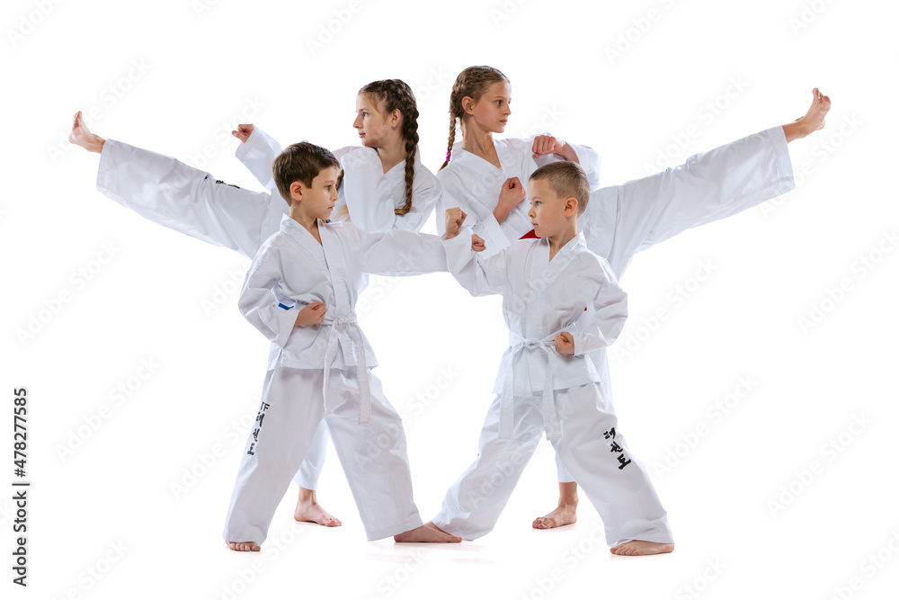 Group of young sportsmen, taekwondo athletes wearing doboks and sports uniforms standing isolated on white background. Group of young sportsmen, taekwondo athletes wearing doboks and sports uniforms standing isolated on white background.