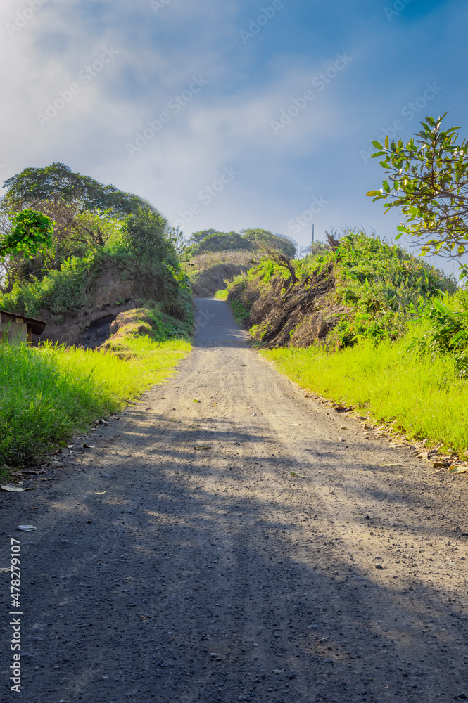 narrow road in the countryside, a small dirt road in the countryside with copy space
