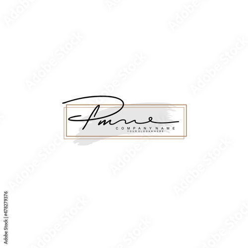 PM initial Signature logo template vector