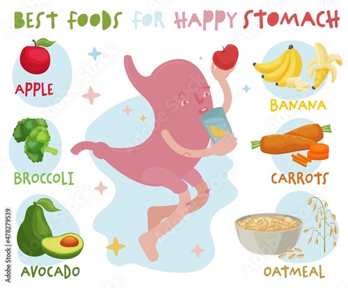 What to eat to make your stomach healthy. Editable vector illustration