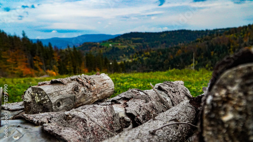 Fototapeta Naklejka Na Ścianę i Meble -  Drewno na Soszowie