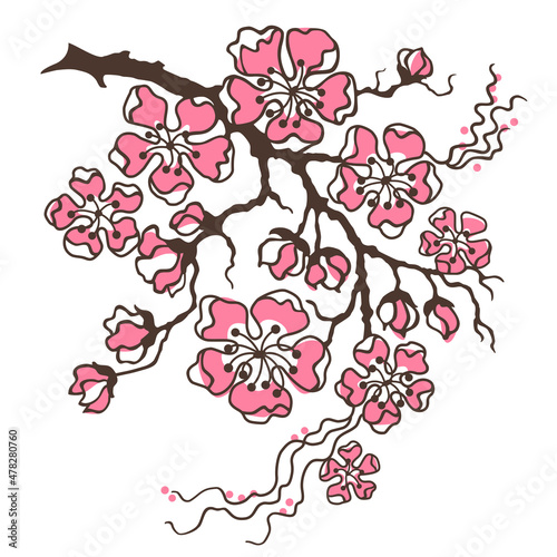 Cherry Blossom, Sakura. Branch with Flowers. Hand-drawn vector clipart isolited on white. photo