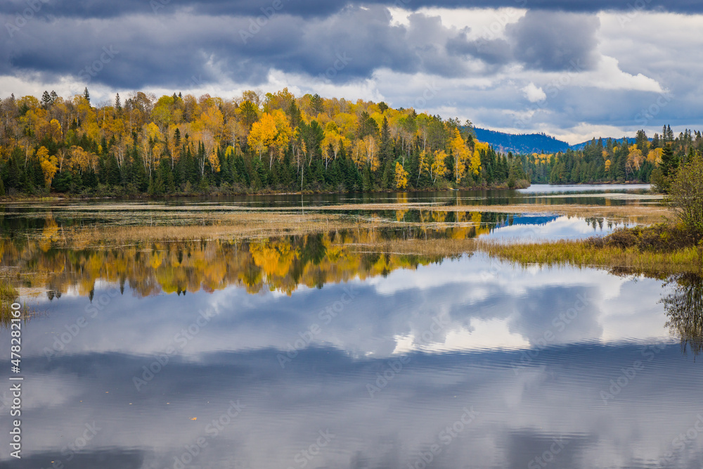 Fototapeta premium Reflection of the trees in a lake on a fall day in Mont Tremblant National Park, in Laurentides region of Quebec, Canada