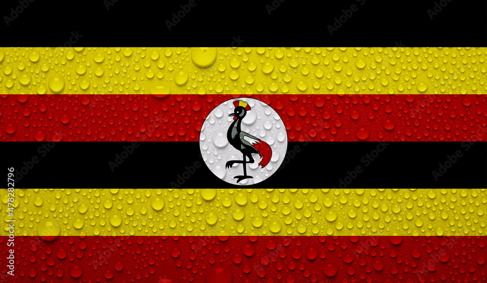 Fototapeta premium Uganda flag on water texture. 3D image