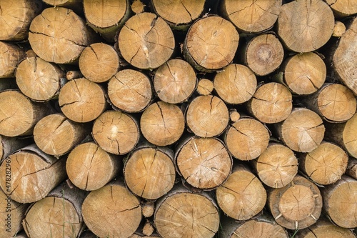 Wooden trunks or logs of trees cut and stacked on the ground