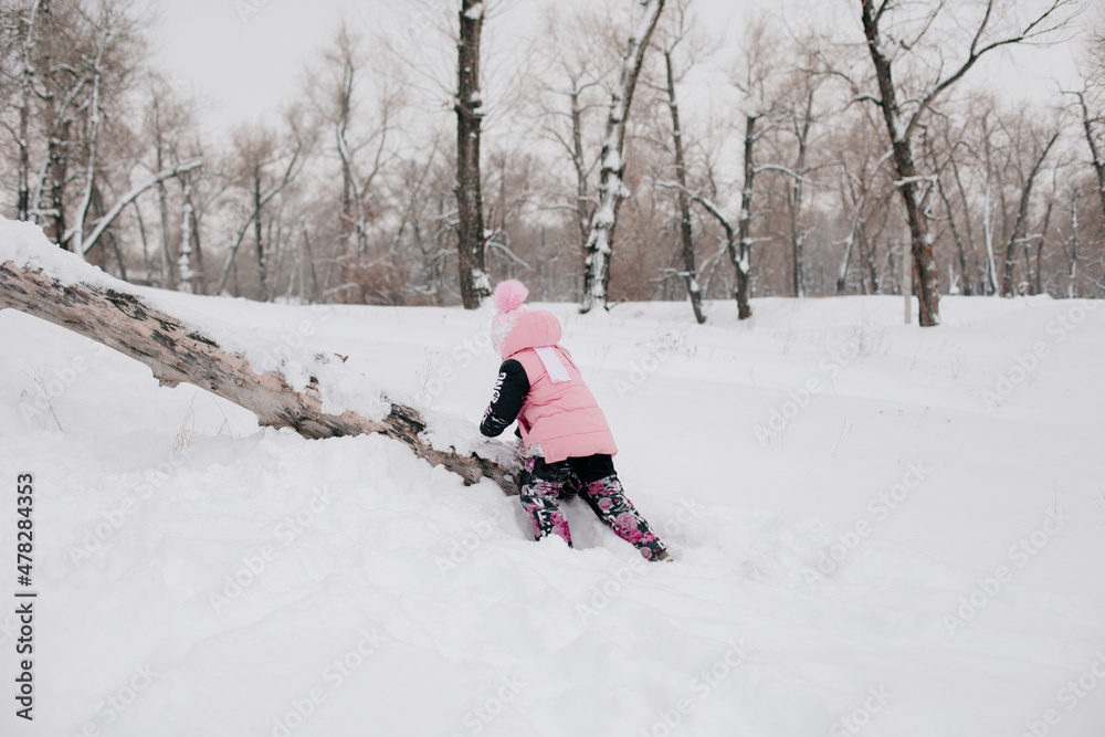 Distant photo of female Russian kid climbing tree log with efforts wearing pink winter clothes in forest. Astonishing background full of white color and snow. 