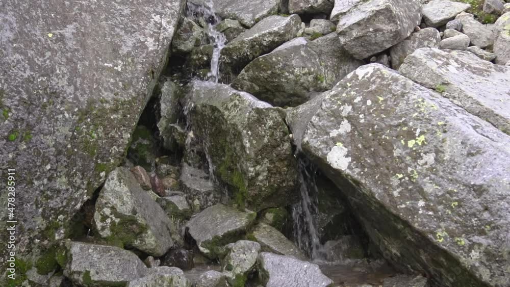 clean drinking mountain water from the spring flows in a small stream through large stones covered with moss. close-up. beautiful splashing water clean drinking mountain water from the spring flows in a small stream through large stones covered with moss. close-up. beautiful splashing water