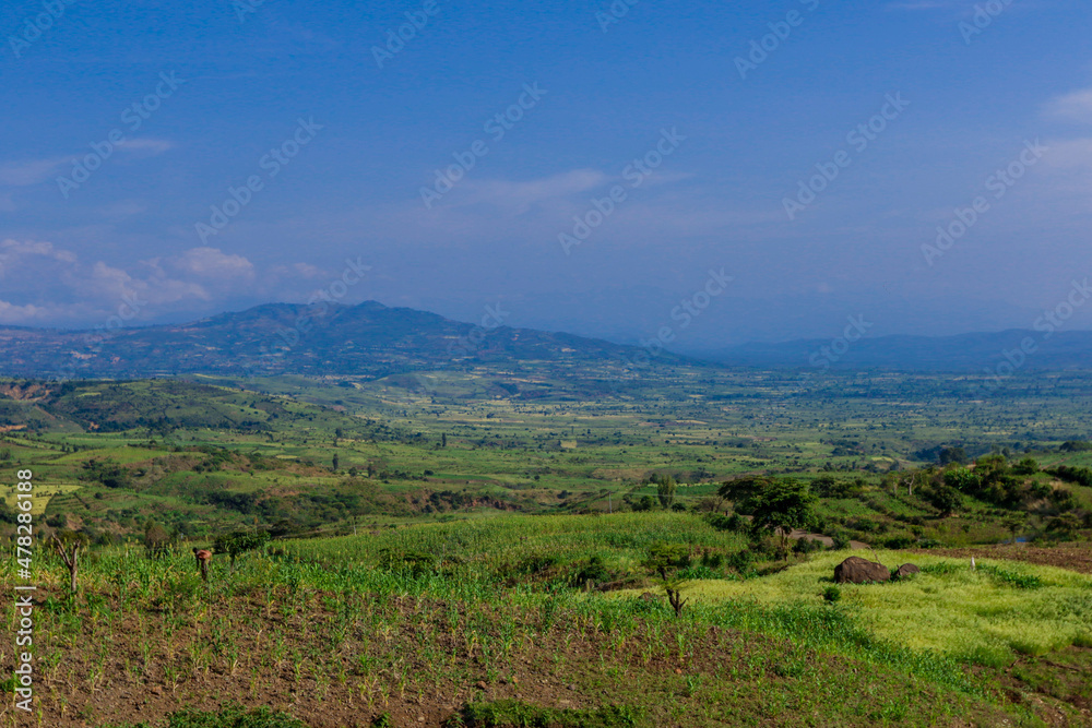 Panoramic View to the Green Trees and Mountains under Cloudy Blue Sky of the Omo River Valley, Ethiopia Panoramic View to the Green Trees and Mountains under Cloudy Blue Sky of the Omo River Valley, Ethiopia