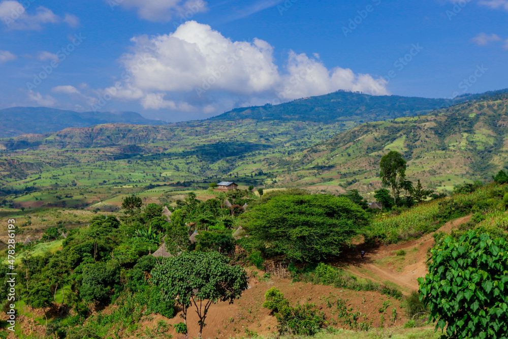 Panoramic View to the Green Trees and Mountains under Cloudy Blue Sky of the Omo River Valley, Ethiopia Panoramic View to the Green Trees and Mountains under Cloudy Blue Sky of the Omo River Valley, Ethiopia