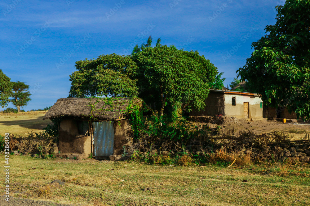 Obraz premium Breathtaking View to the Traditional African Houses, Green Trees and Mountains under Cloudy Blue Sky of the Omo River Valley, Ethiopia