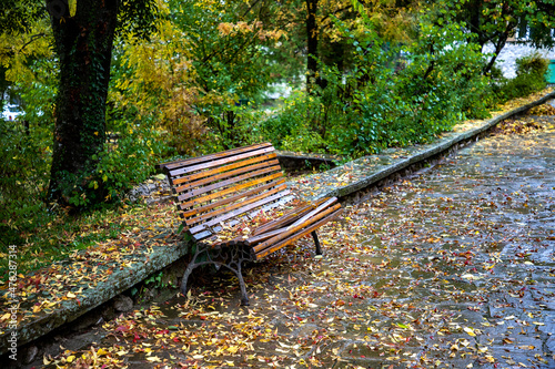 Empty lonely bench with leaves in autumn park