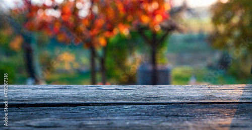 Wooden table, tabletop, blurred autumn background, Empty wooden shelf, counter, desk. Perspective wood tabletop