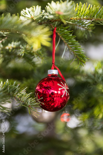 Christmas ornament on tree