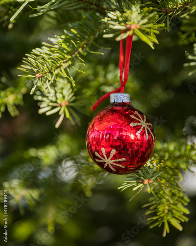 Christmas ornament on tree