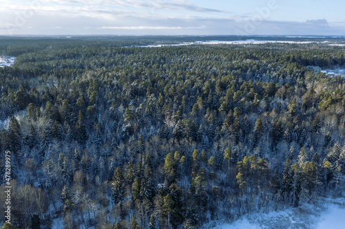 Panoramic aerial view of the forest in winter