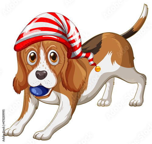 Beagle dog wearing Christmas hat