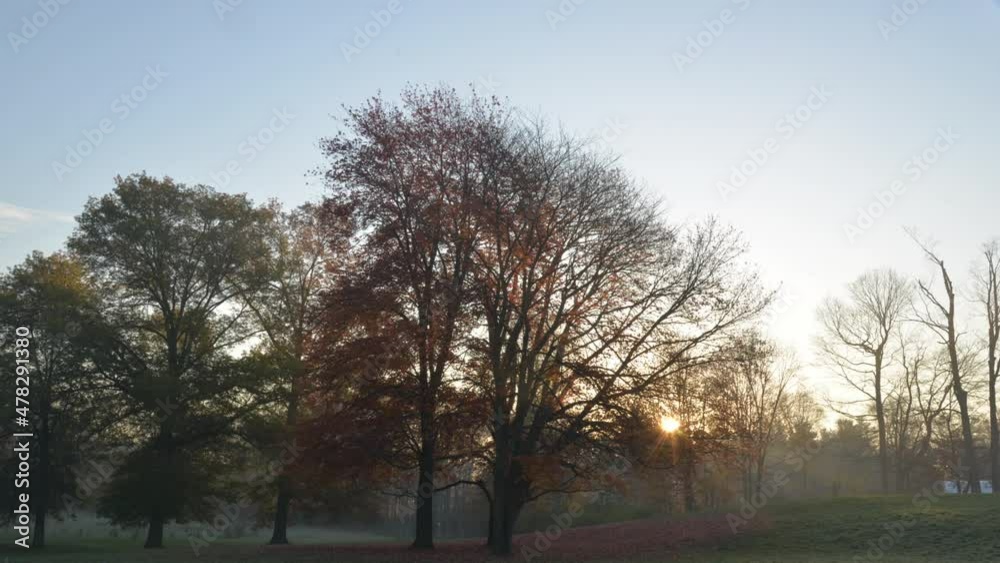 Time-lapse of morning sunrise in the park Time-lapse of morning sunrise in the park