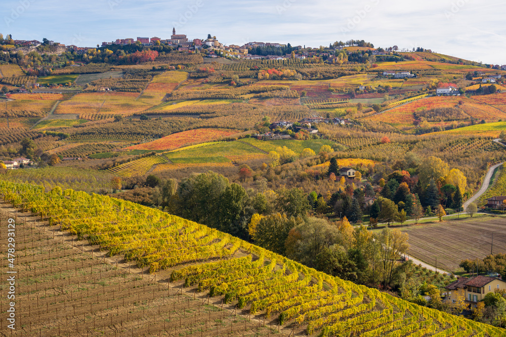 Fototapeta premium Autunno nelle Langhe
