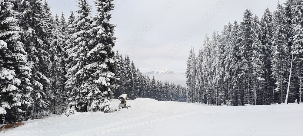 Naklejka premium Forest against the background of snow-capped mountains. Skiers.