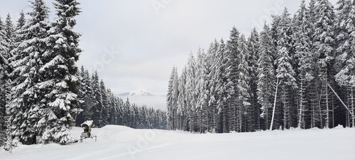 Forest against the background of snow-capped mountains. Skiers. © Сергей Булах