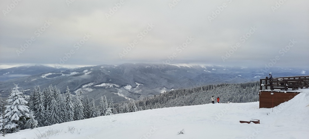 Forest against the background of snow-capped mountains. Skiers. Forest against the background of snow-capped mountains. Skiers.