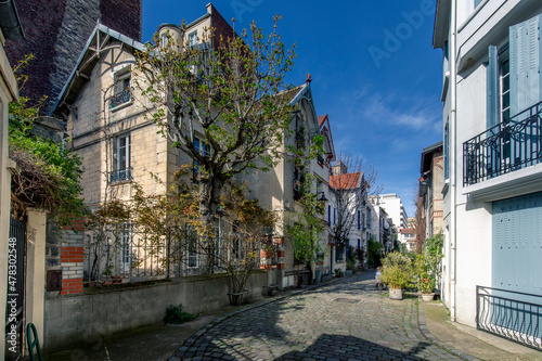 Paris, France - March 28, 2021: Nice small cosy street in Paris with individual house and buildings