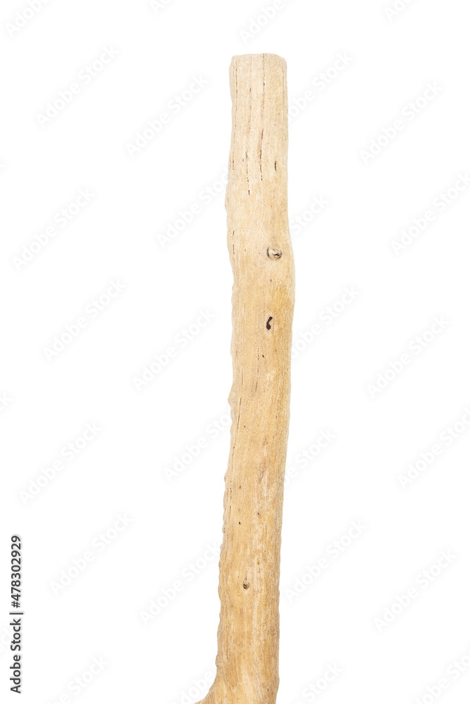 Part of driftwood isolated on white Part of driftwood isolated on white
