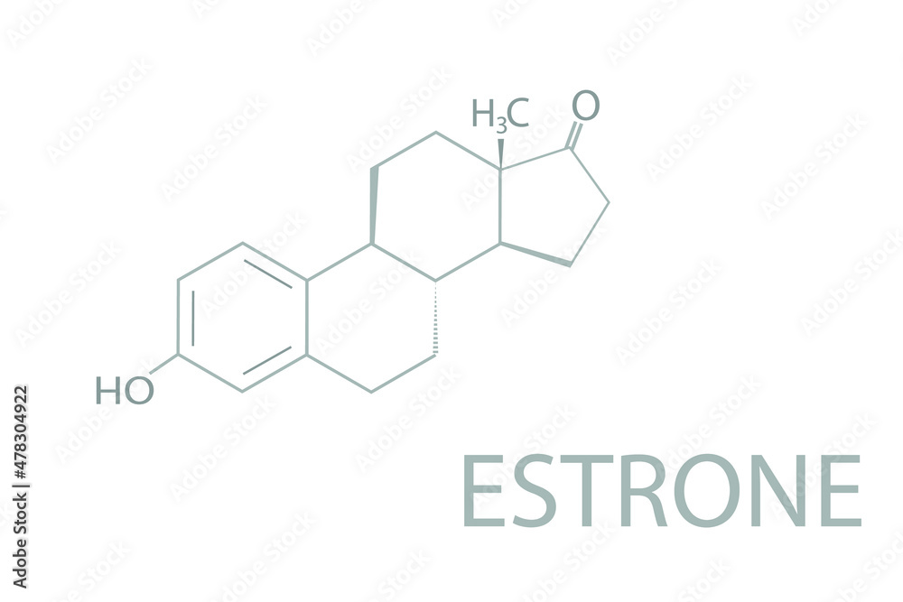 Estrone molecular skeletal chemical formula.