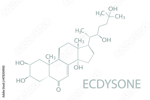 Ecdysone molecular skeletal chemical formula.