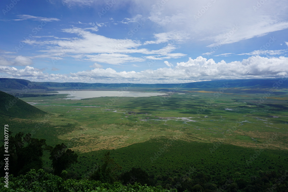Fototapeta premium Spectacular view onto the lush vegetation around Lake Magadi, Ngorongoro Crater