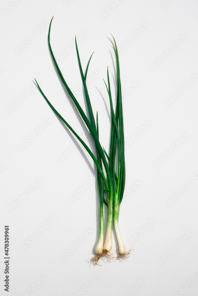 Fototapeta premium Three scallions are on a white background.