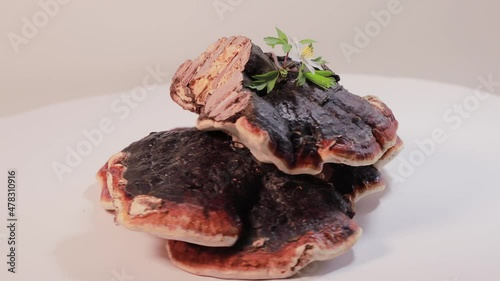 Ganoderma Lucidum mushroom  (also called as Reishi mushroom or Lingzhi mushroom)  on a white background. Chinese herbal medicine