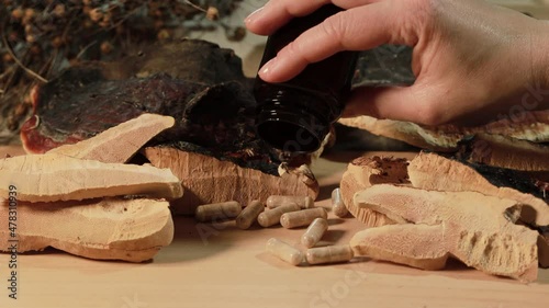 Ganoderma lucidum capsules are scattering from a dark bottle with sliced fresh Ling zhi mushroom (also called as Reishi mushroom or Lingzhi mushroom). Chinese herbal medicine