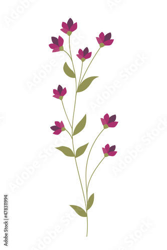 Vector illustration of a purple blooming flower isolated on a white background.