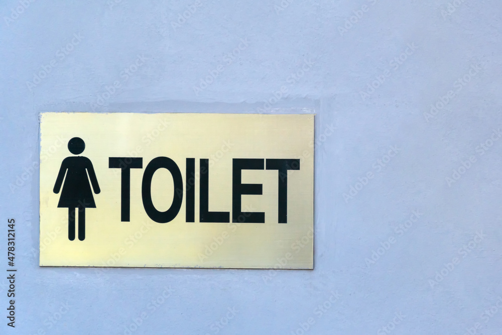 Obraz premium Metal sign designating a women's toilet on the wall copy space