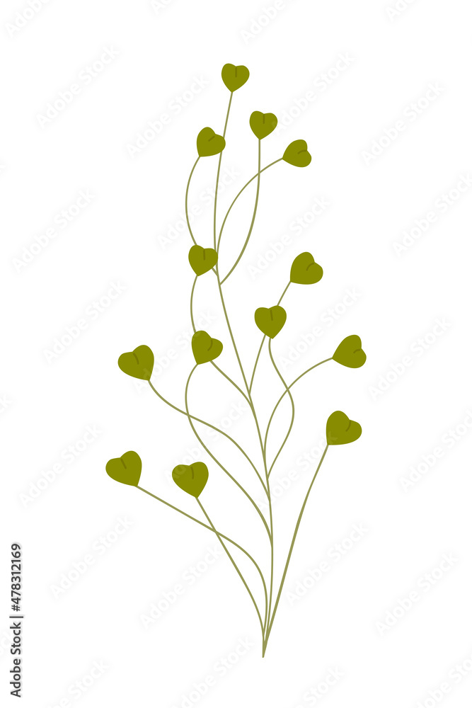 Vector illustration of a green meadow grass isolated on white background.