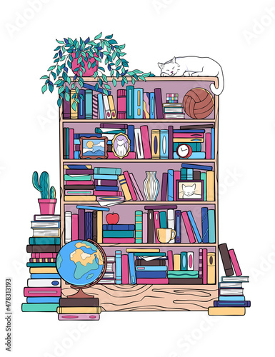 Bookcase, library, book stand with a sleeping cat on it, vector drawing