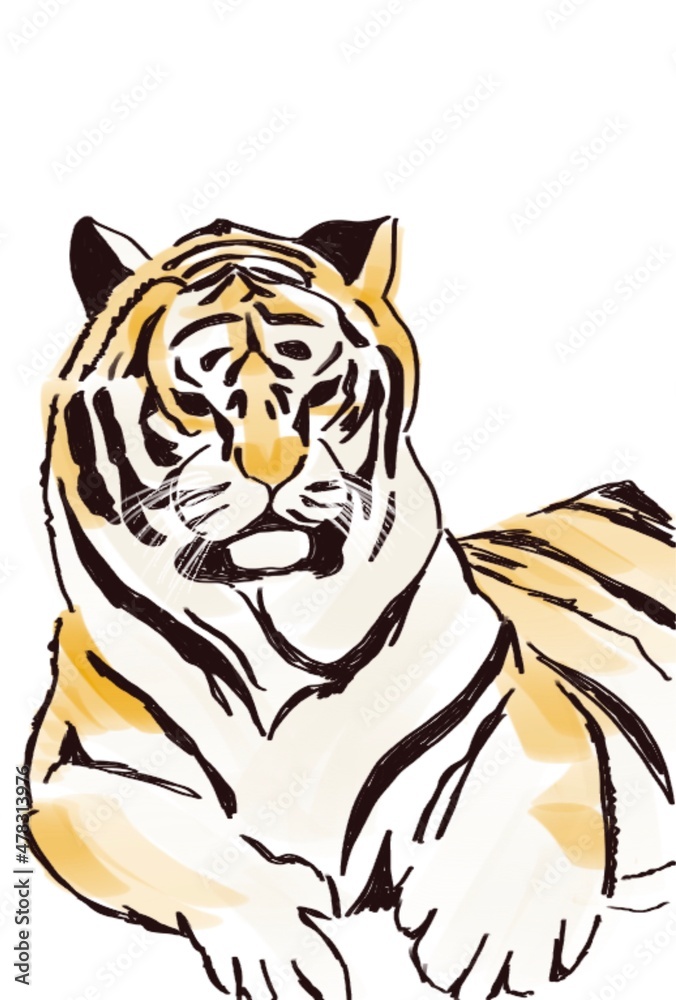 Fototapeta premium tiger on white background