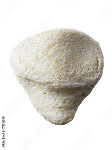 Tableau sur toile 3d rendered illustration of the patella