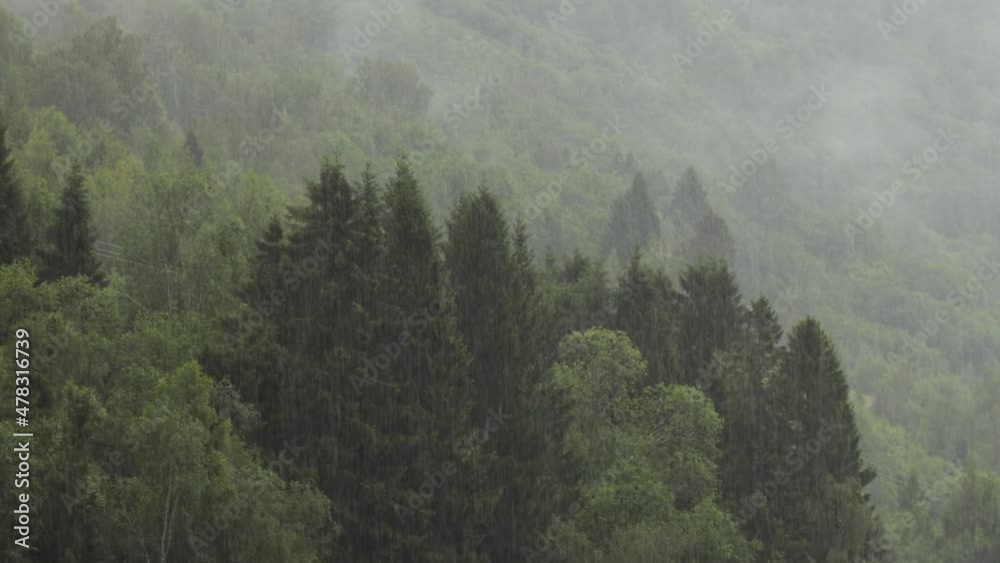Rain over forest Beautiful Nature Norway Rain over forest Beautiful Nature Norway