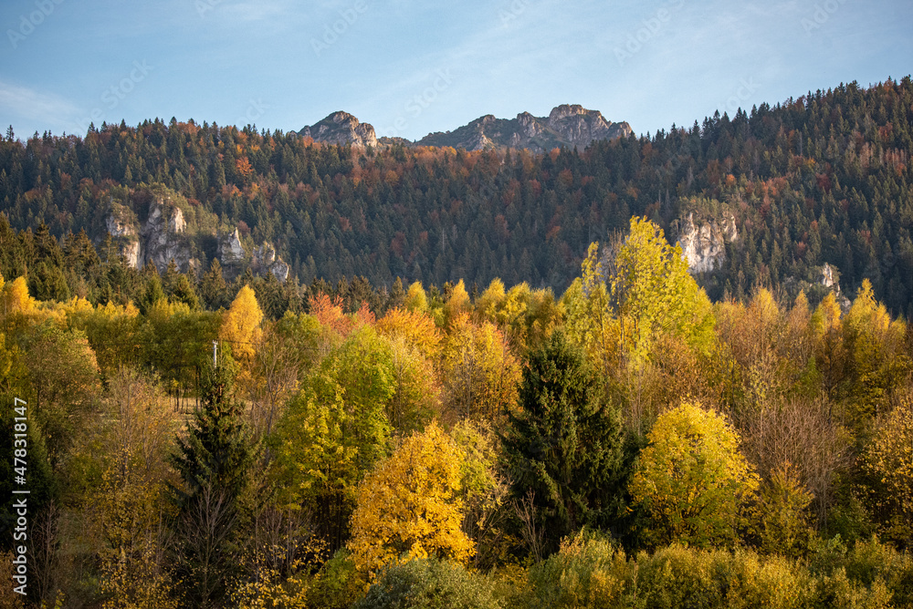 autumn in the mountains, Terchova, Mala Fatra, Slovakia, Europe