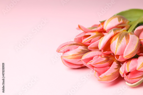 Bouquet of beautiful tulips on pink background