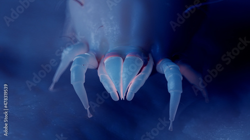 Foto 3d rendered illustration of dust mites