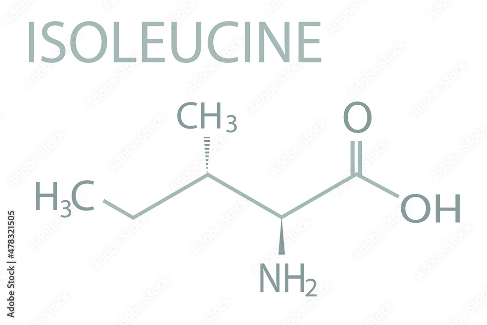 Isoleucine molecular skeletal chemical formula.